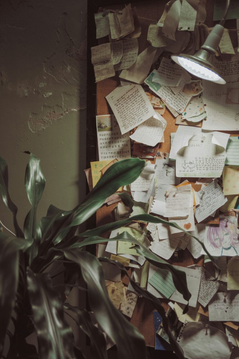 nguyen phuc hau l4x0h8ebkxw unsplash